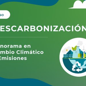 Descarbonización: Panorama en Cambio Climático y Emisiones ....